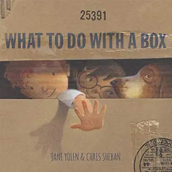 What To Do With A Box Book