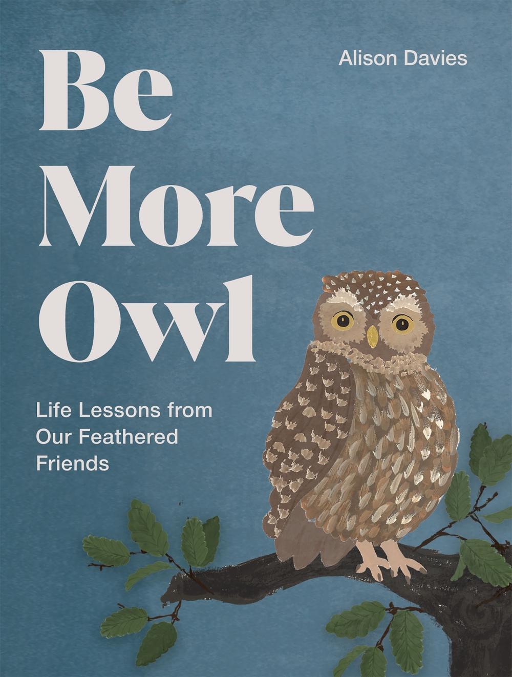 Be More Owl Book