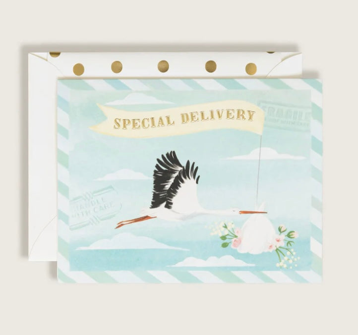 Special Delivery Stork Card
