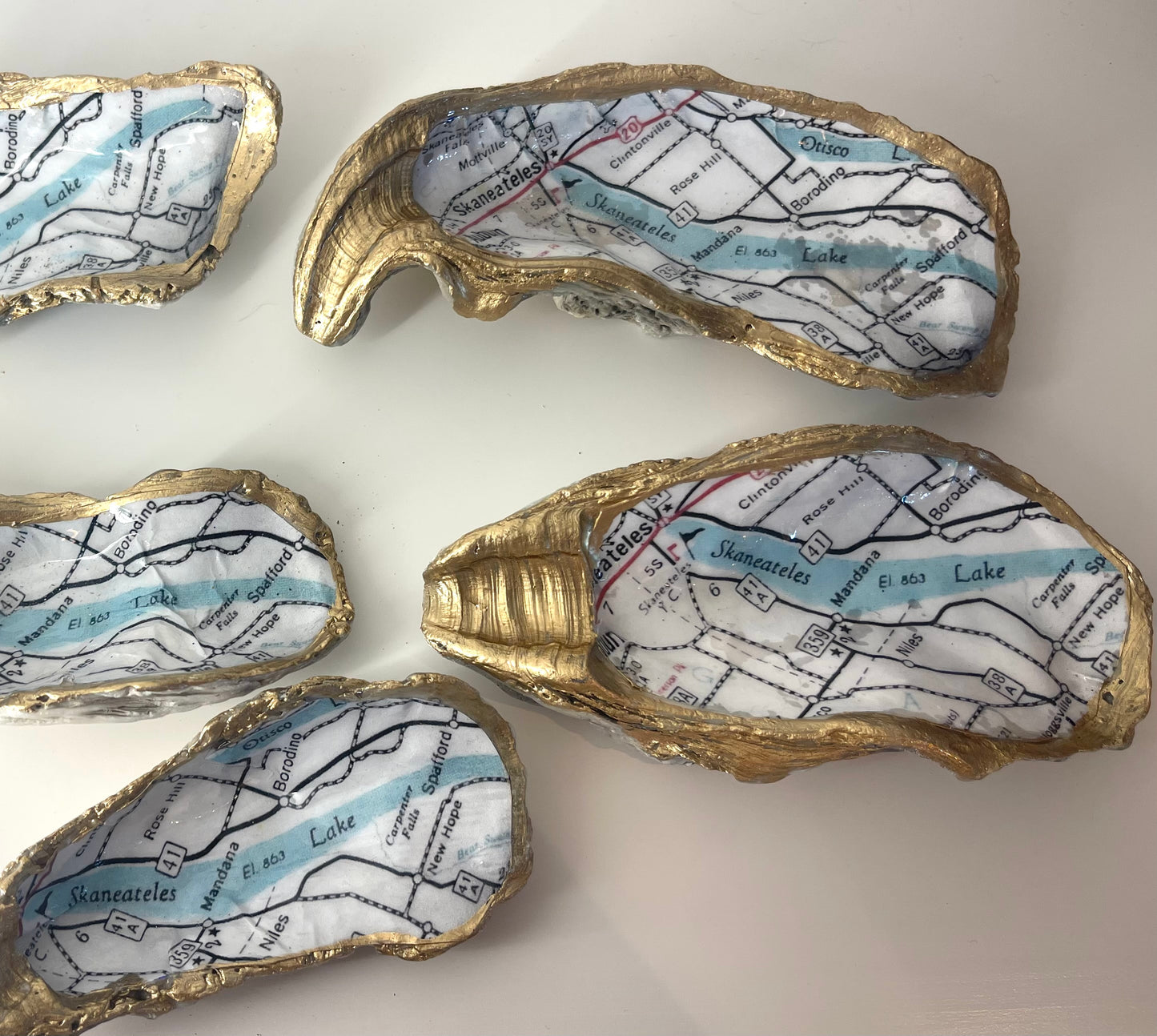 Skaneateles Lake Map Shells