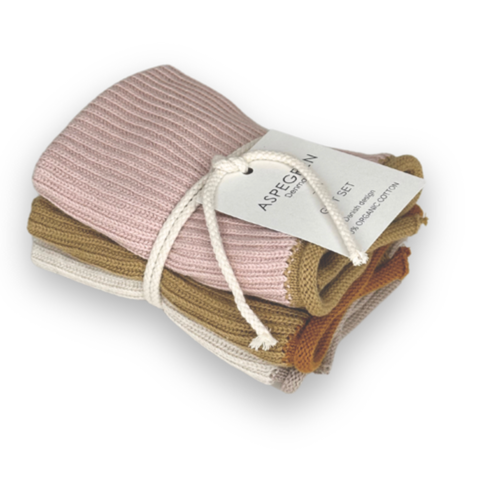 Aspegren Dishcloth Gift Set