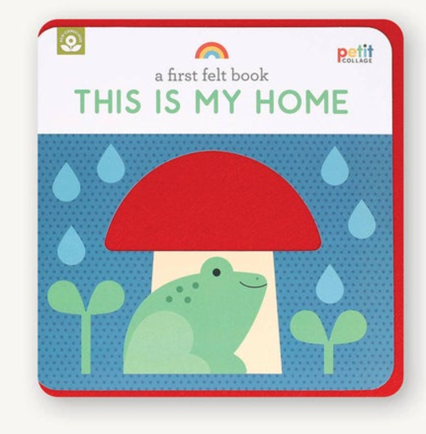 A First Felt Book: This Is My Home