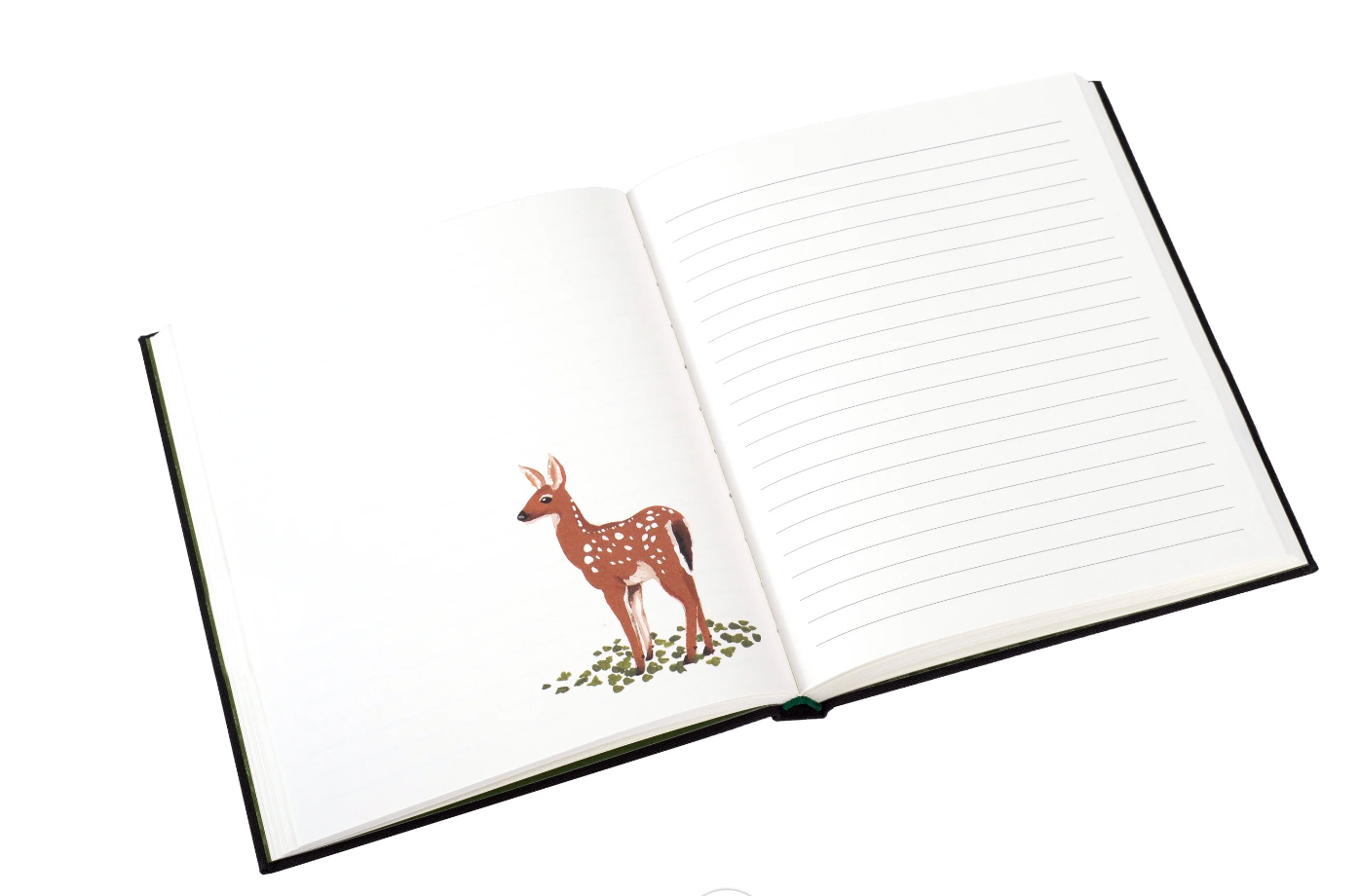 Woodland Journal