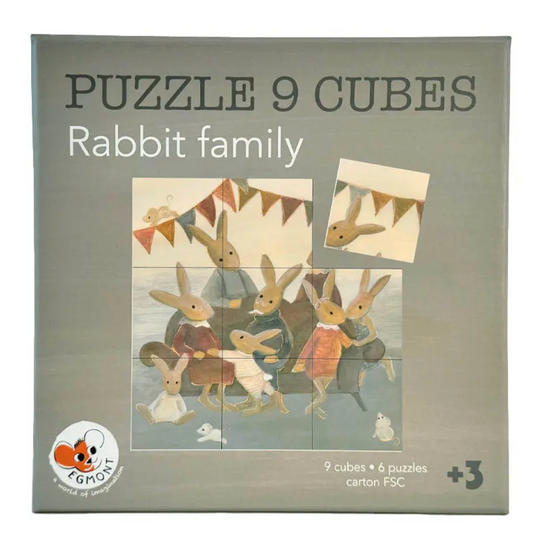 9 Cube Puzzles
