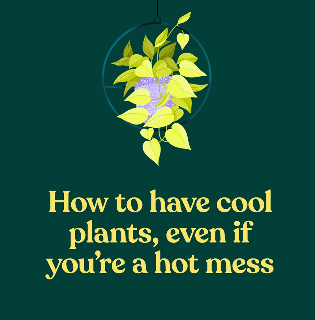 Green Dumb Guide To Houseplants