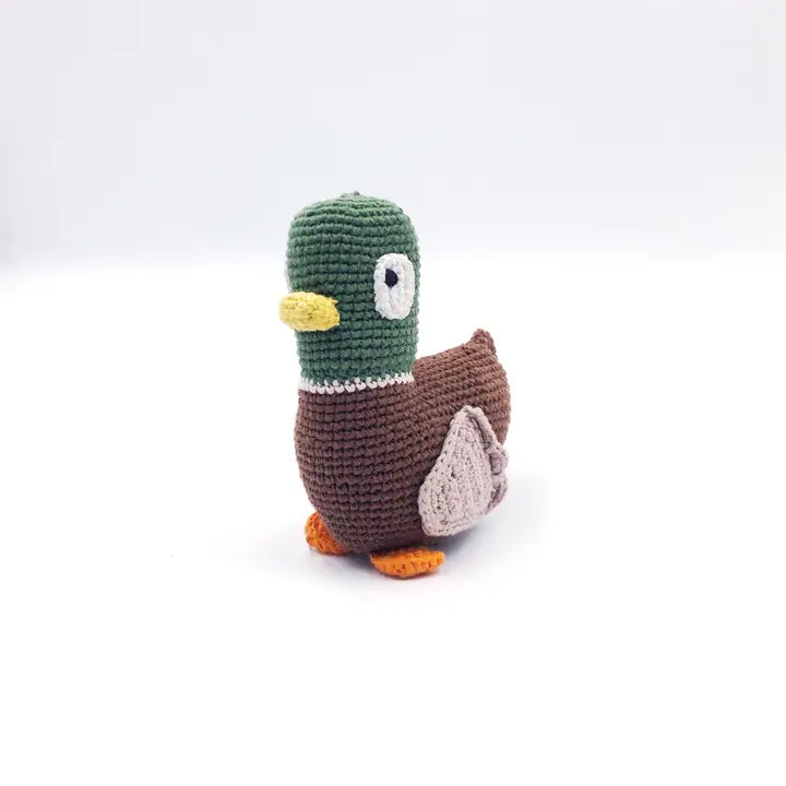 Mallard Duck