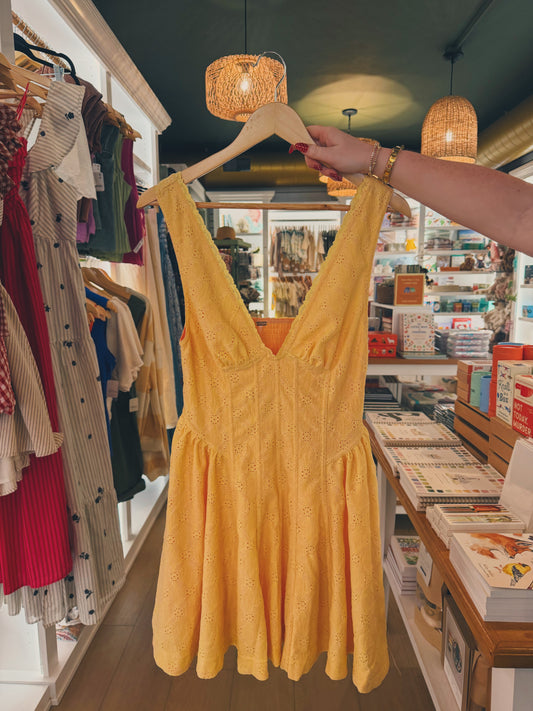 Can't Help It Mini Dress