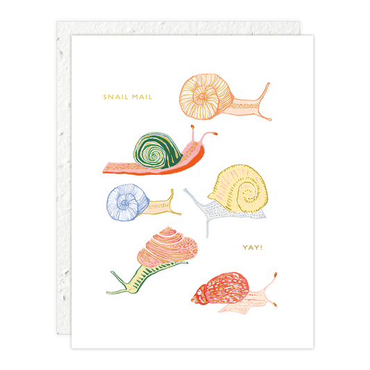 Snail Mail Card
