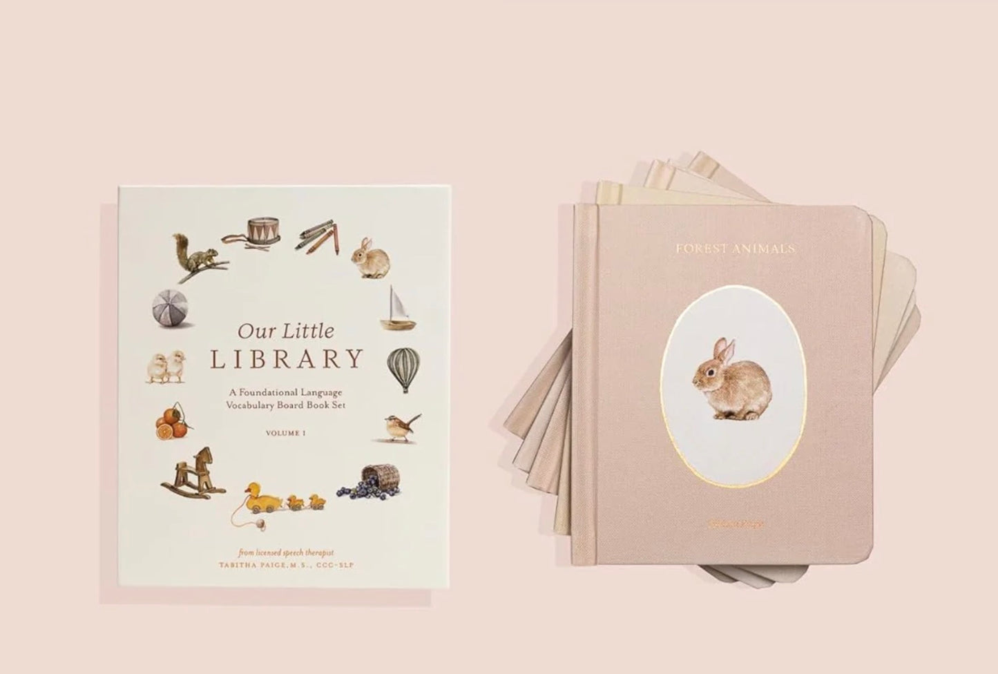 Our Little Library