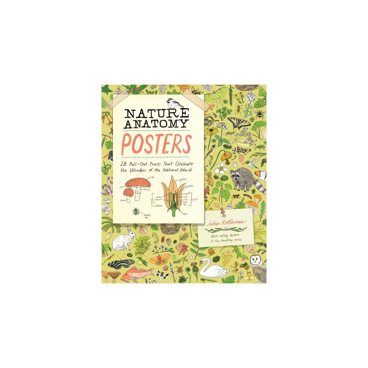 Nature Anatomy Posters