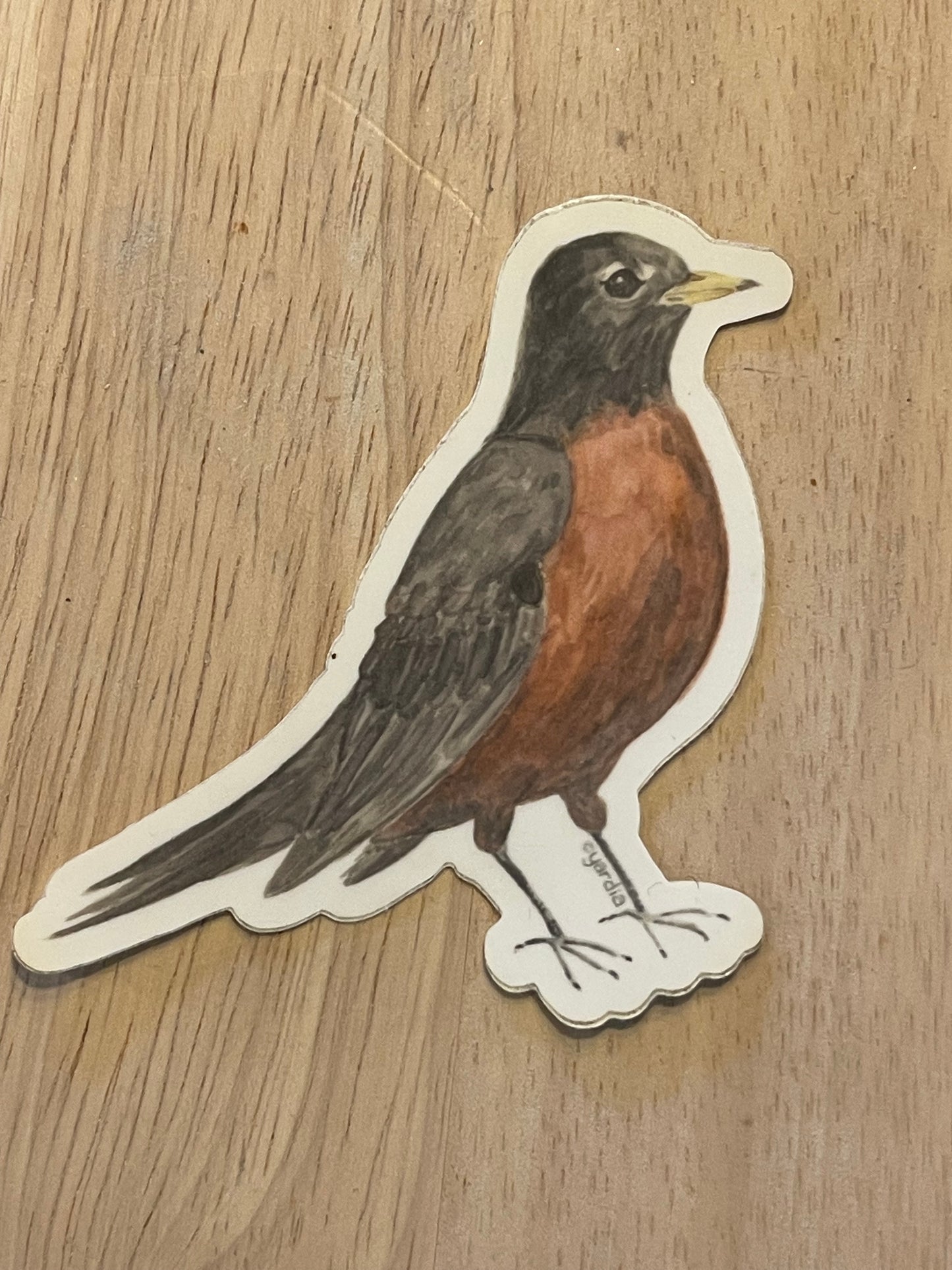Watercolor Sticker