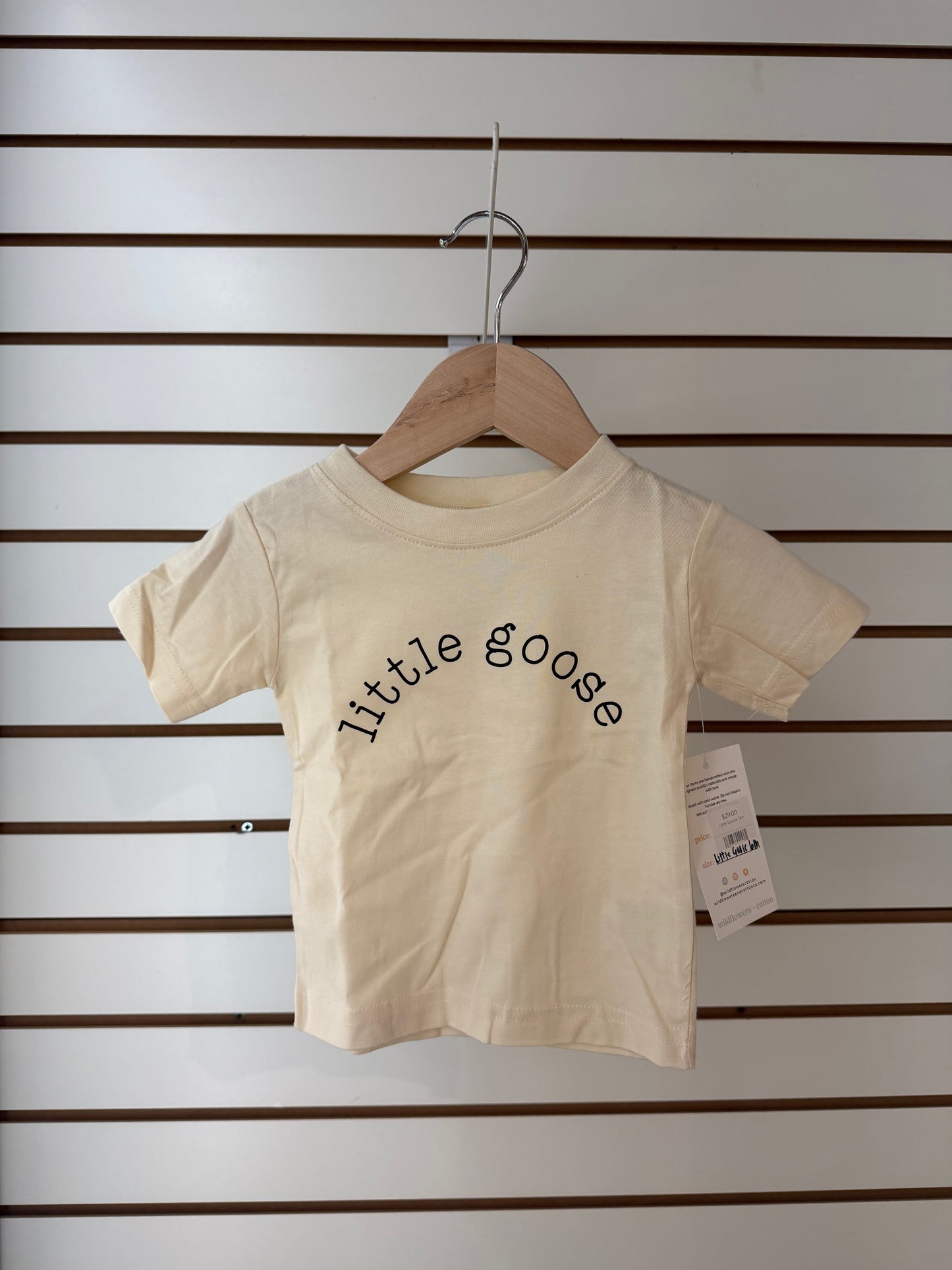 Little Goose