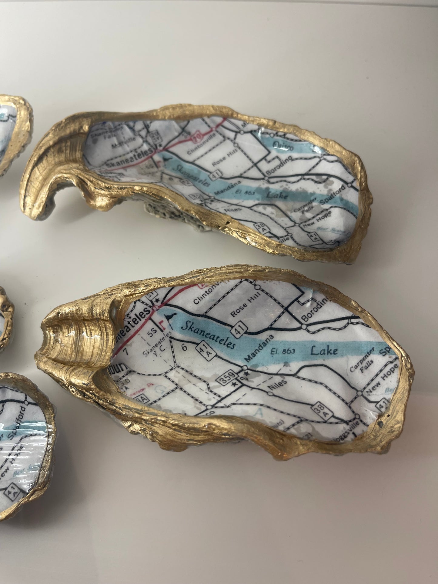 Skaneateles Lake Map Shells