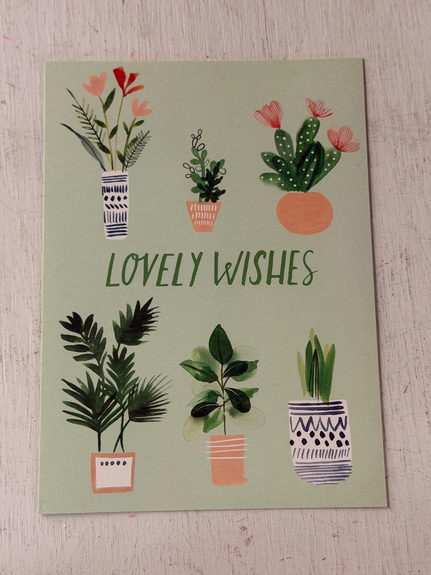 Lovely Wishes