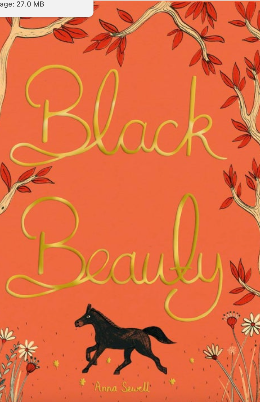 Black Beauty Hardcover Book