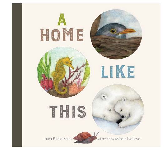 A Home Like This Book