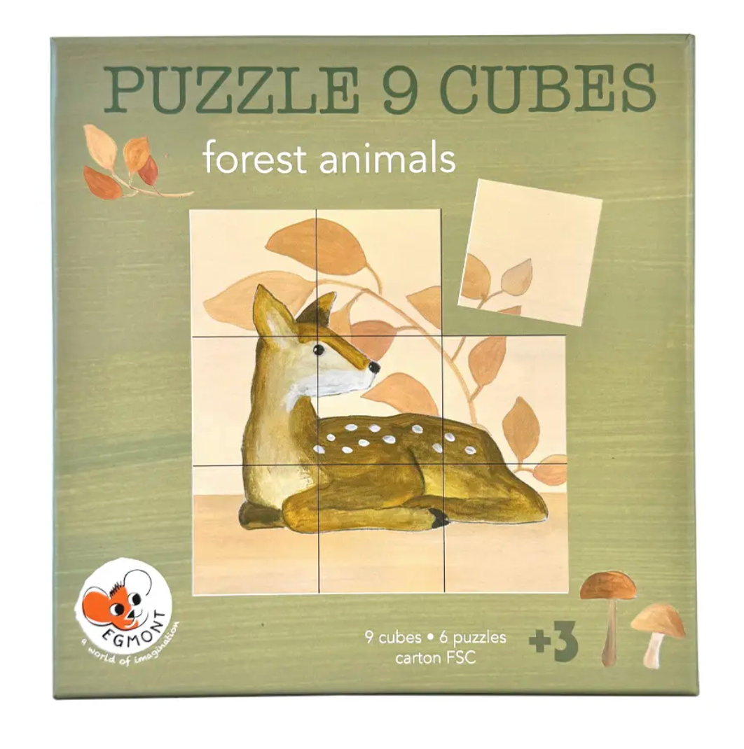 9 Cube Puzzles