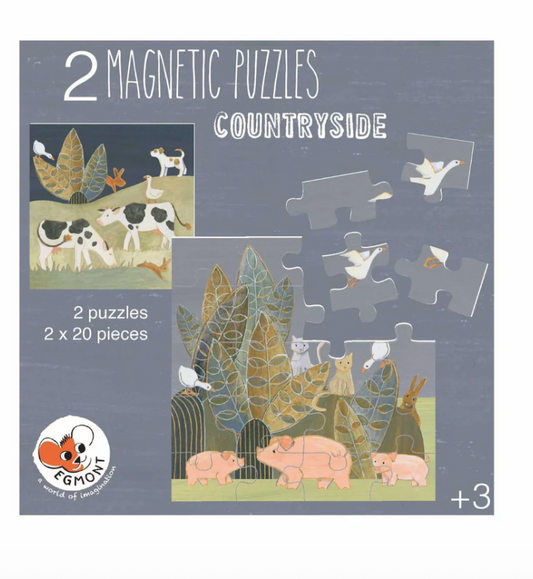 Magnetic Puzzle