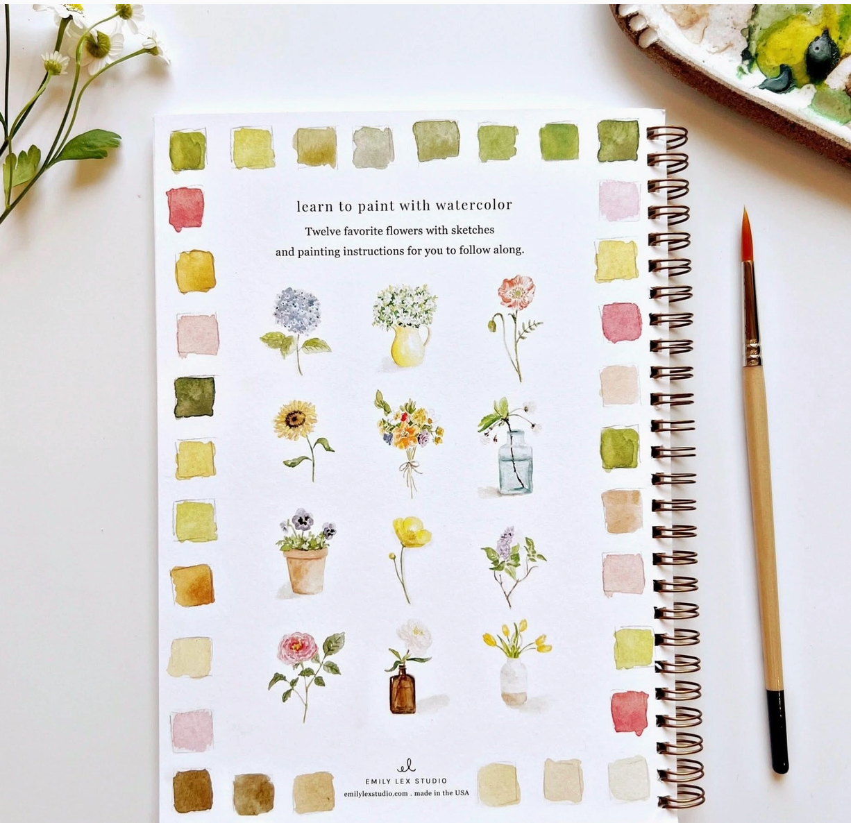 Watercolor Workbook