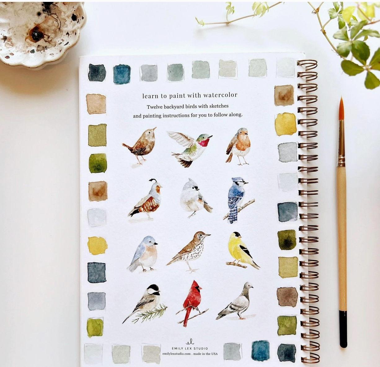 Watercolor Workbook