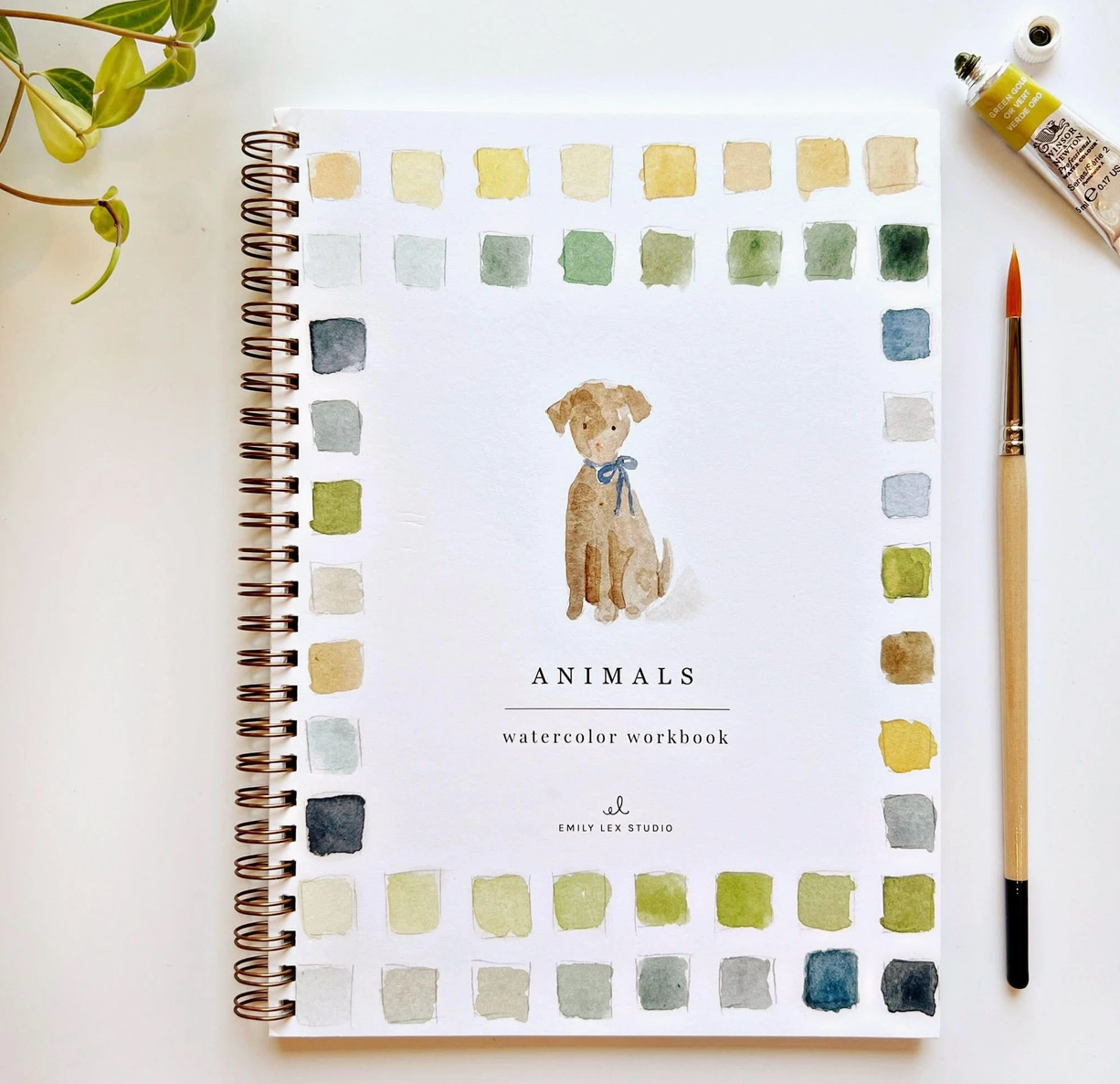 Watercolor Workbook