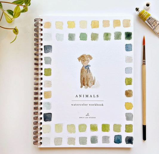 Watercolor Workbook