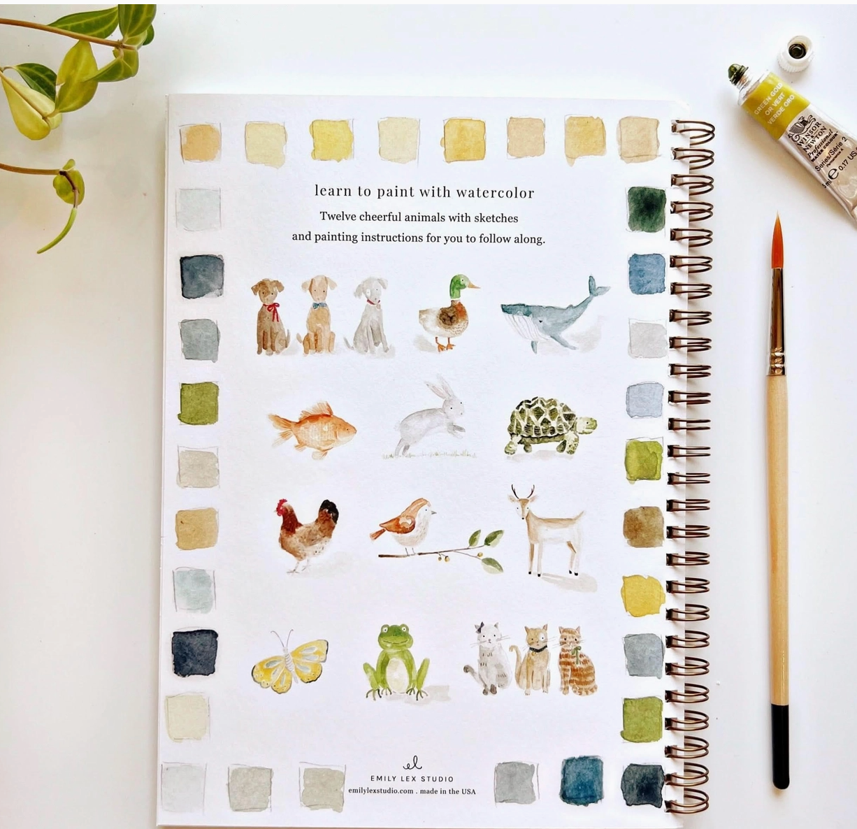 Watercolor Workbook