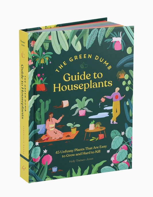 Green Dumb Guide To Houseplants