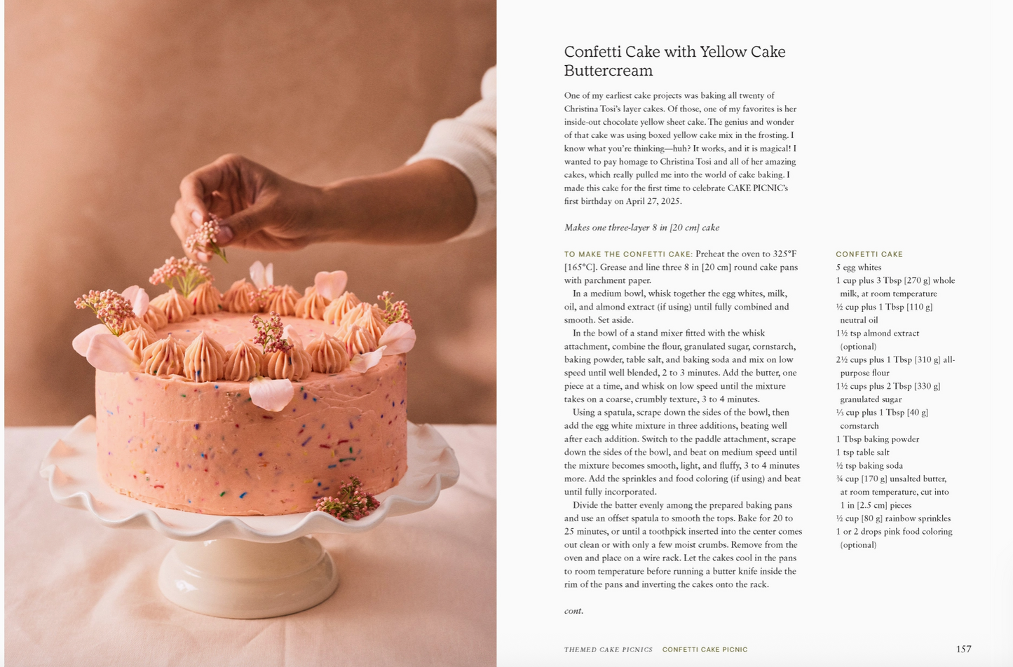 Cake Picnic