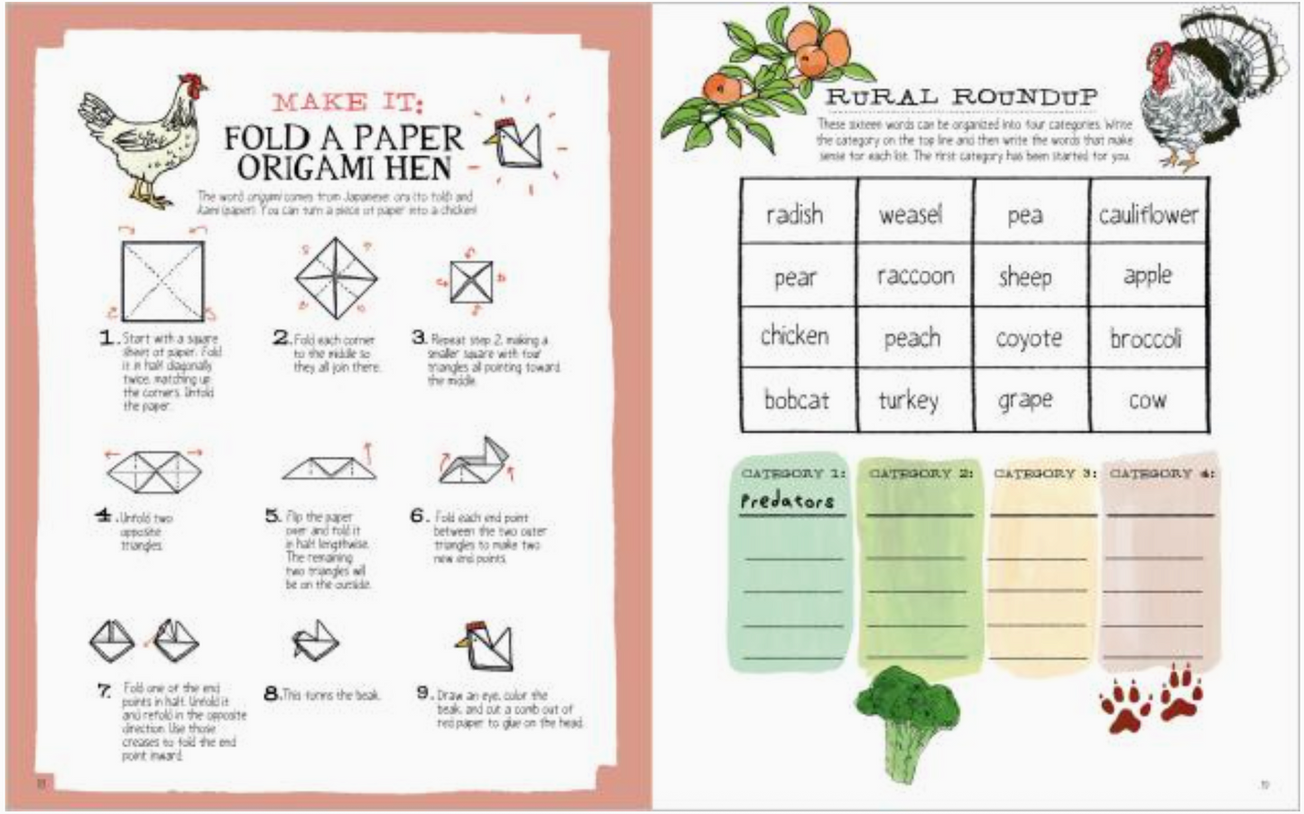 Farm Anatomy Activity Book