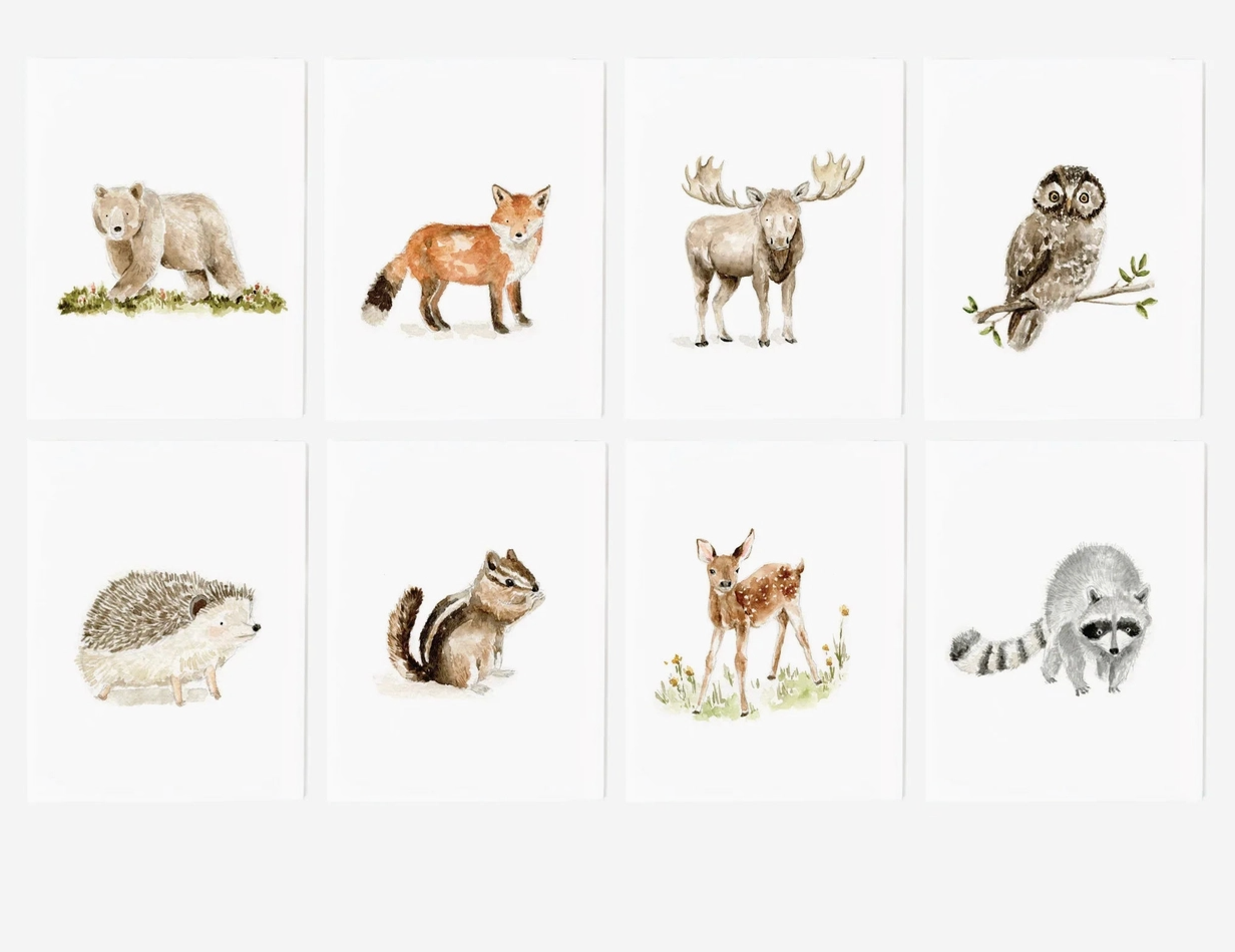 Emily Lex Card Sets