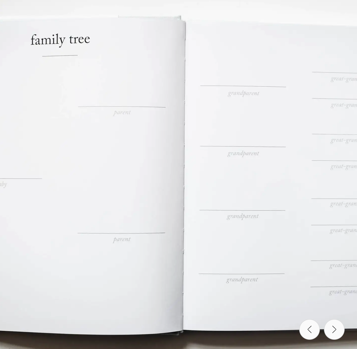 Baby's First Year Memory Book & Photo Album
