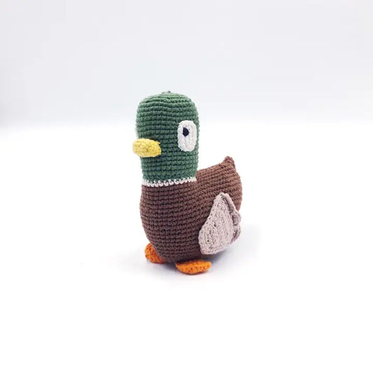 Mallard Duck