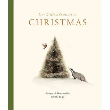 Our Little Adventure At Christmas
