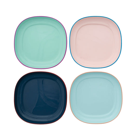 Enameled Stainless Steel Plate