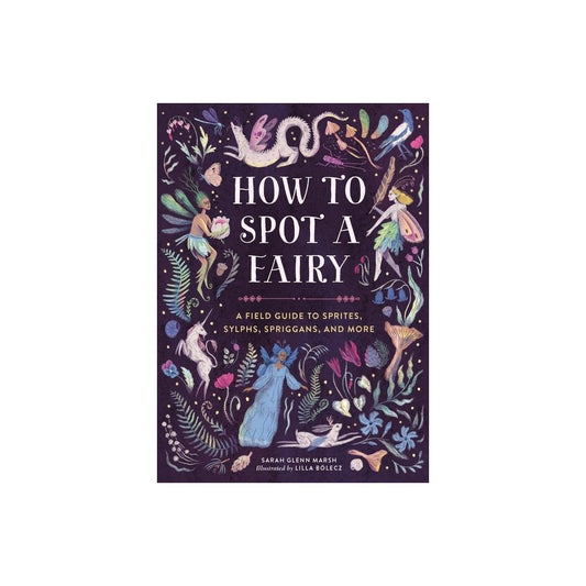 How to Spot a Fairy Book
